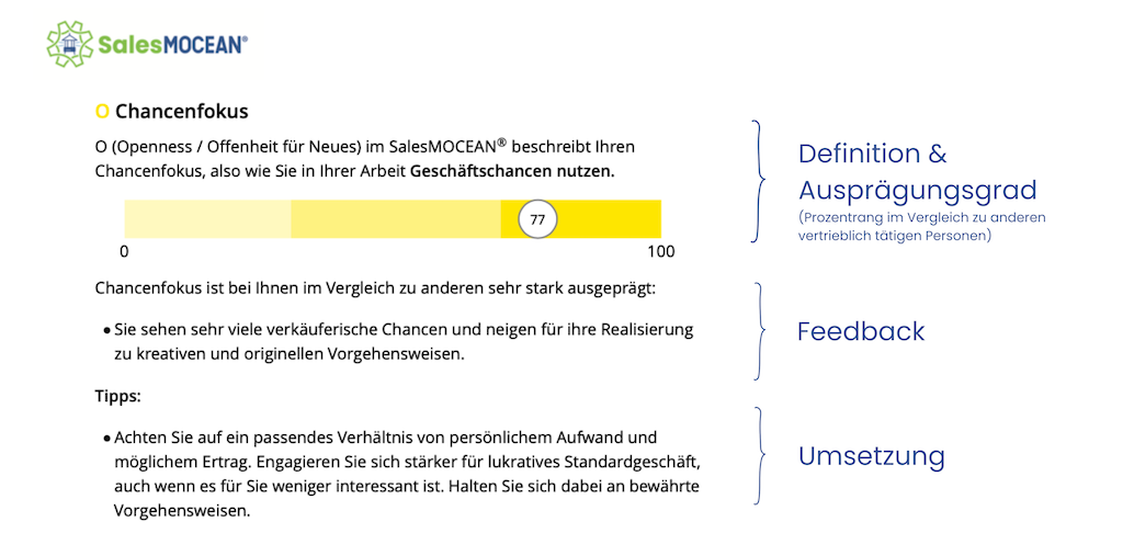 SalesMOCEAN_Chancenfokus