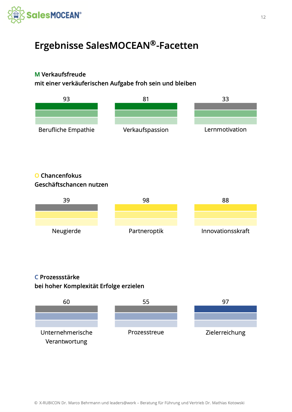 SalesMOCEAN_Ergebnisbericht_Facetten SalesMOCEAN_Ergebnisbericht_Erläuterung